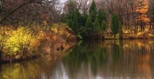 Morton pond autumn