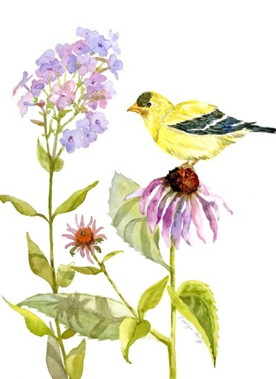 A Beautiful Day, copyright Evalyn Holy