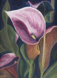 Calla Lillies ©Linn Eldred