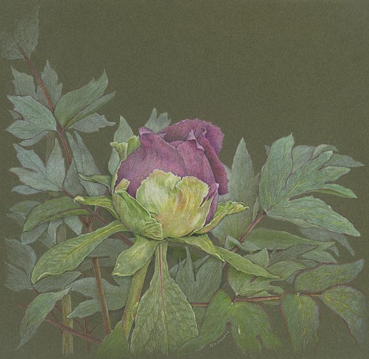 Breaking Out, copyright Mary Ann Jimenez