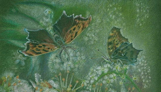 Question Marks, ©Carla Schmakel