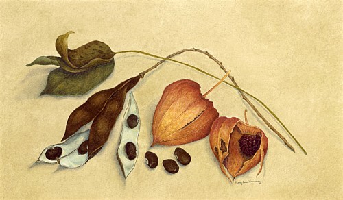 What Lay Inside, copyright Mary Ann Jimenez