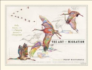 The Art of Migration by Peggy Macnamara