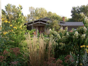 Nina Koziol's Wildwood Garden, Used with permission