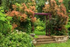 Nina Koziol's Wildwood Garden, Used with permission