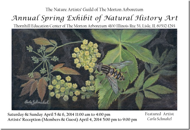 Nature Artists' Guild 2014 Spring Exhibit Postcard