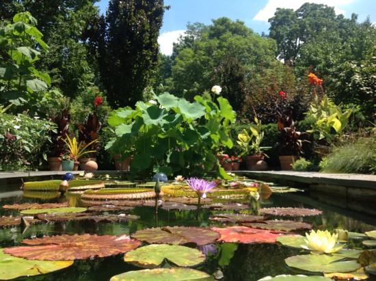 Photo credit Catherine Donovan