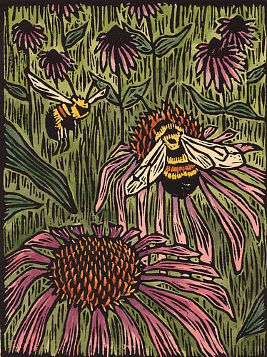 Bumblebee and Coneflower, copyright Carrie Carlson