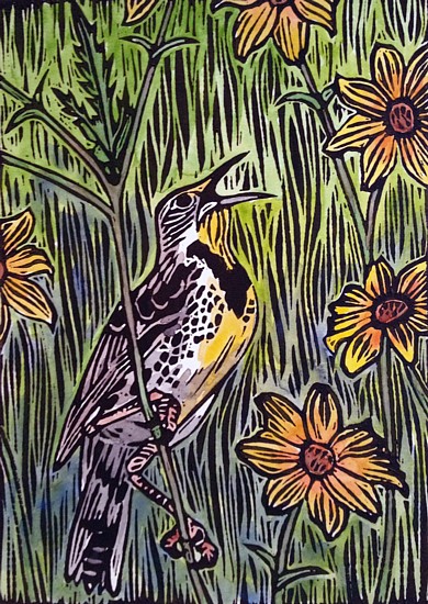 Meadowlark and Tickseed, copyright Carrie Carlson