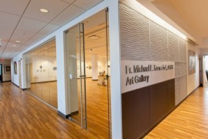 Komechak Art Gallery, Benedictine University, Lisle IL