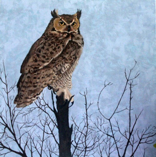 Do you speak owl?, copyright Evelyn Grala