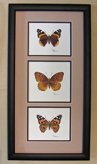 Karen Johnson's Artwork, Oak Park Conservatory