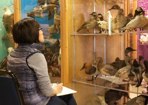 Nature Artists' Guild at Jurica-Suchy 2015