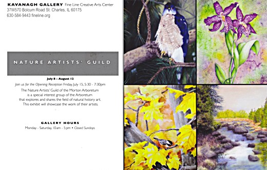 Nature Artists' Guild at Kavanagh Gallery 2016