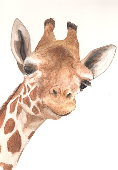 Giraffe, copyright Alice Wych