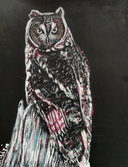 Great Horned Owl, scrachboard with ink, copyright Jill Adzia